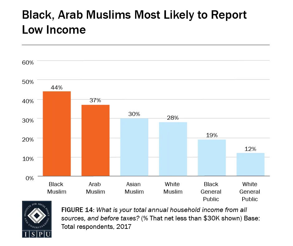 Black, Arab Muslims Most Likely to Report Low Income
