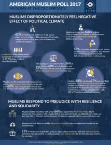 AMP 2017 Infographic
