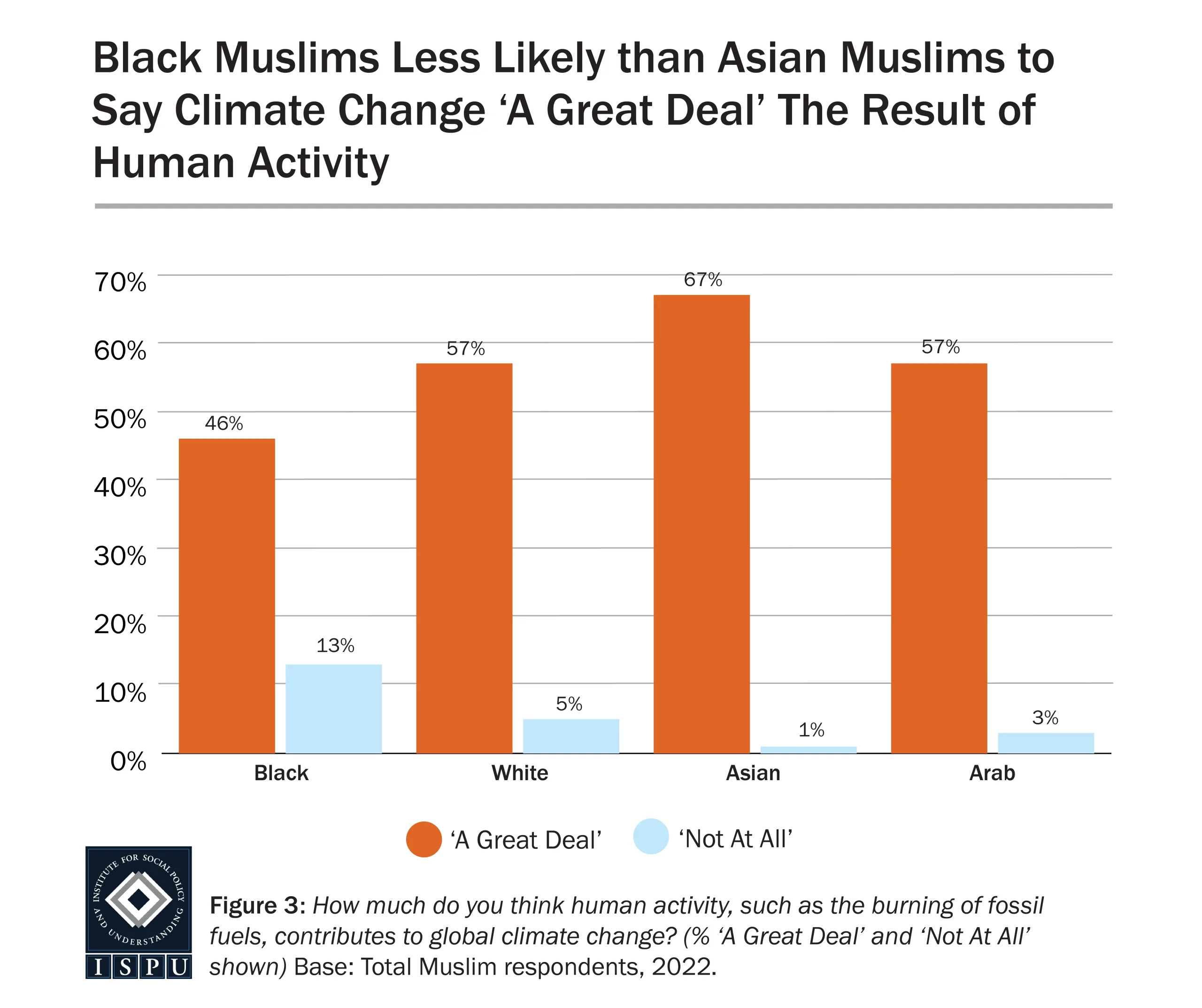muslima racial and ethanic